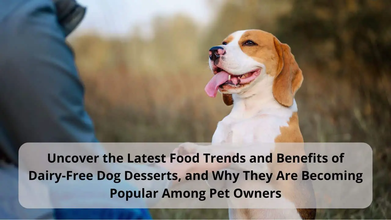 Uncover the Latest Food Trends and Benefits of Dairy-Free Dog Desserts, and Why They Are Becoming Popular Among Pet Owners